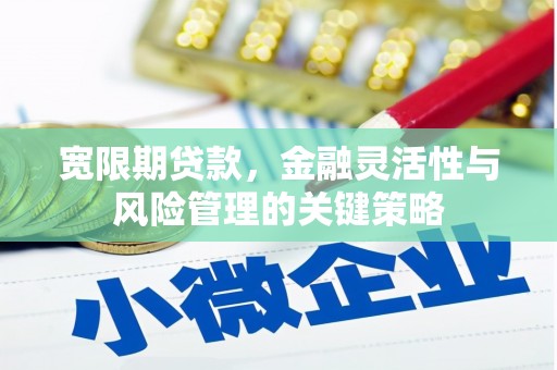 伽师宽限期贷款，金融灵活性与风险管理的关键策略