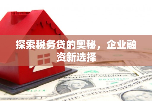 伽师探索税务贷的奥秘，企业融资新选择