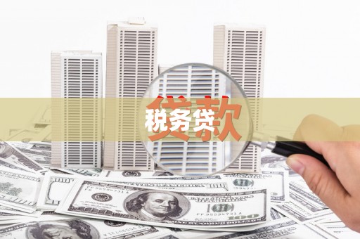 伽师税务贷