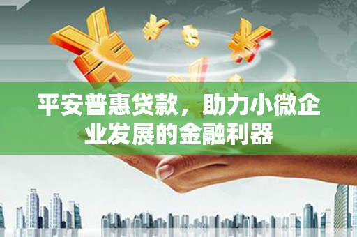 伽师平安普惠贷款，助力小微企业发展的金融利器