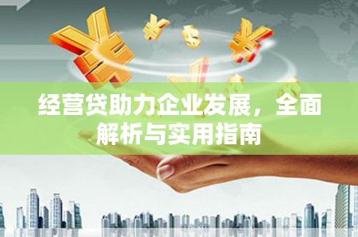 伽师经营贷助力企业发展，全面解析与实用指南
