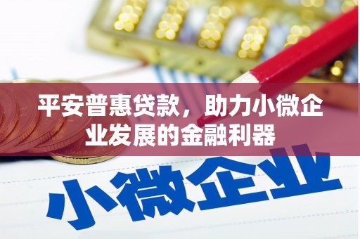 伽师平安普惠贷款，助力小微企业发展的金融利器