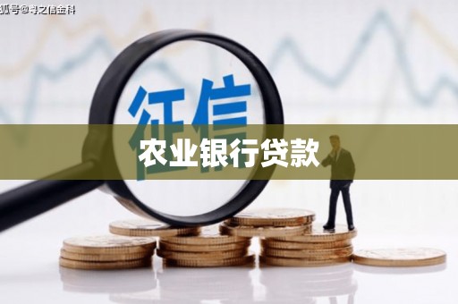 伽师农业银行贷款