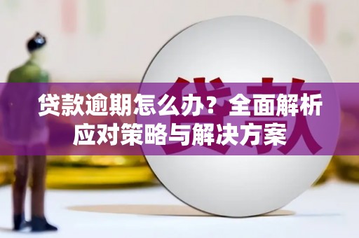 伽师贷款逾期怎么办？全面解析应对策略与解决方案