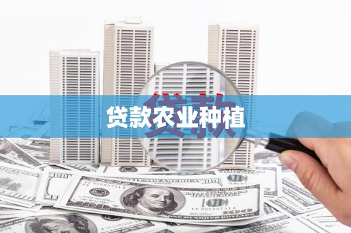 伽师贷款农业种植
