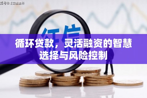 伽师循环贷款，灵活融资的智慧选择与风险控制