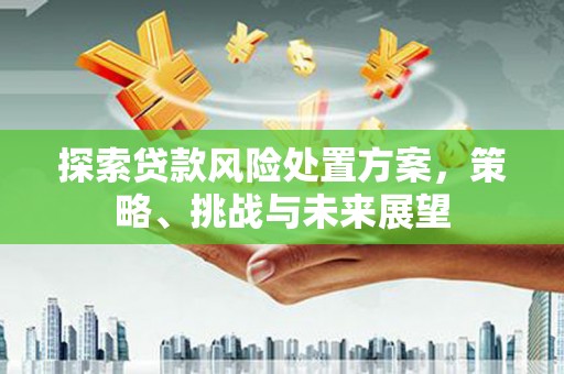 伽师探索贷款风险处置方案，策略、挑战与未来展望