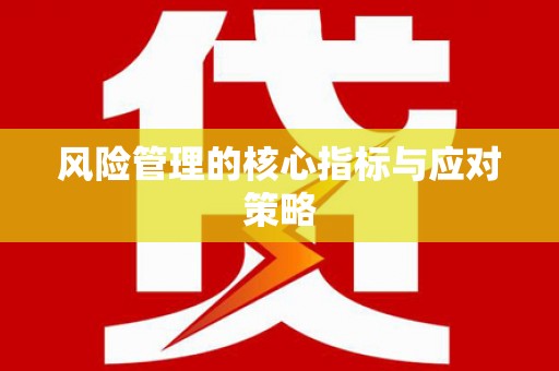 伽师风险管理的核心指标与应对策略