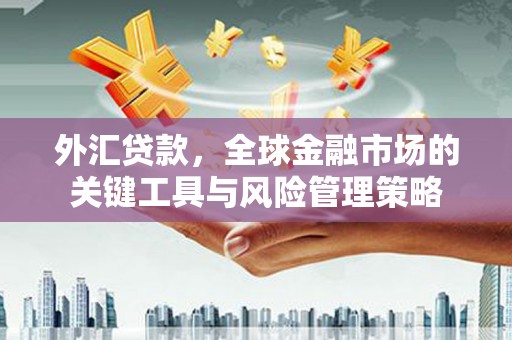 伽师外汇贷款，全球金融市场的关键工具与风险管理策略