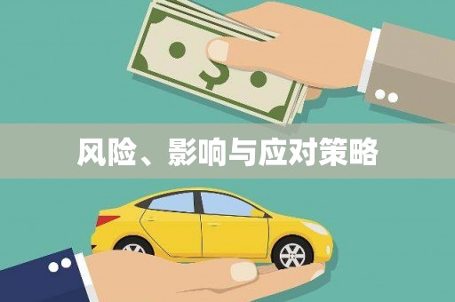 伽师风险、影响与应对策略