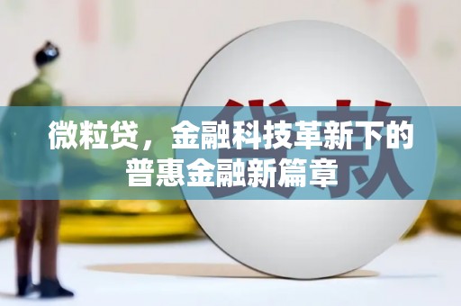 伽师微粒贷，金融科技革新下的普惠金融新篇章