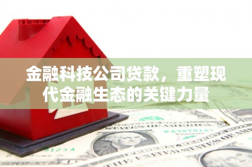伽师金融科技公司贷款，重塑现代金融生态的关键力量
