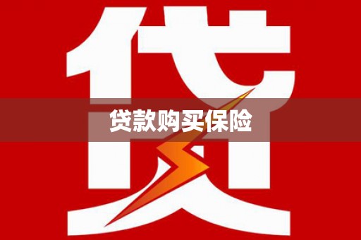 伽师贷款购买保险