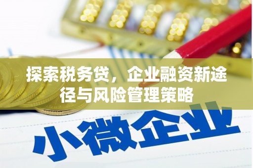 伽师探索税务贷，企业融资新途径与风险管理策略