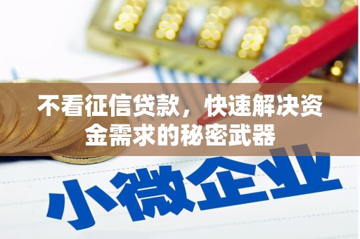 伽师不看征信贷款，快速解决资金需求的秘密武器