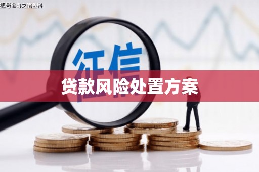 伽师贷款风险处置方案