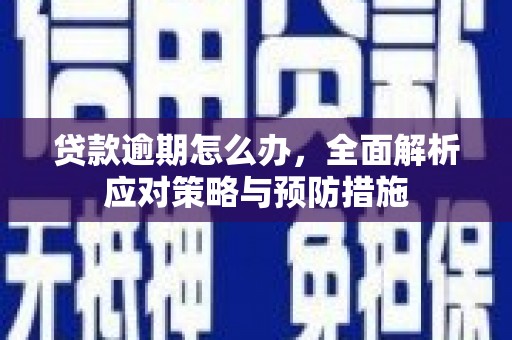 伽师贷款逾期怎么办，全面解析应对策略与预防措施