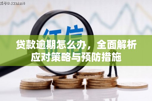 伽师贷款逾期怎么办，全面解析应对策略与预防措施