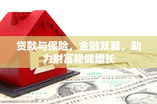 伽师贷款与保险，金融双翼，助力财富稳健增长