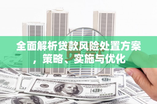 伽师全面解析贷款风险处置方案，策略、实施与优化