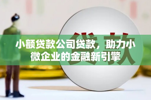 伽师小额贷款公司贷款，助力小微企业的金融新引擎