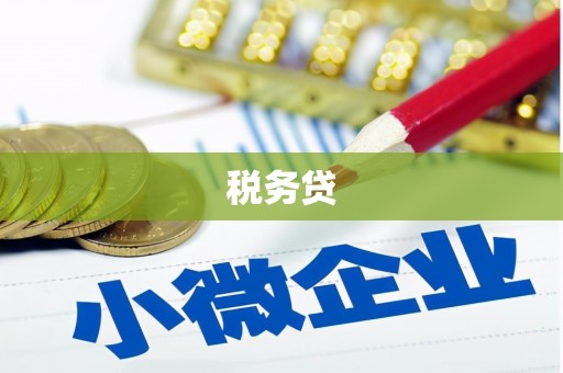 伽师税务贷