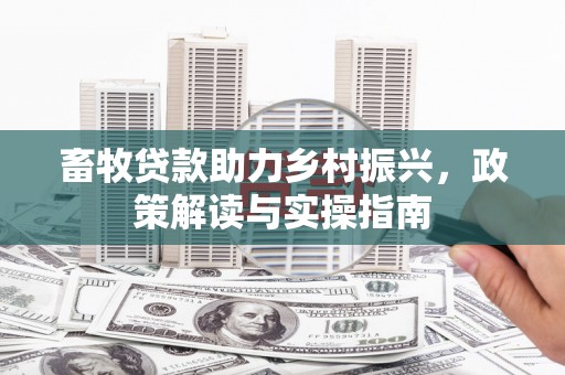 伽师畜牧贷款助力乡村振兴，政策解读与实操指南
