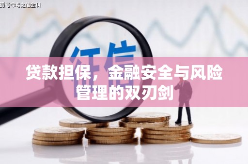 伽师贷款担保，金融安全与风险管理的双刃剑