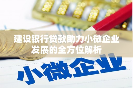 伽师建设银行贷款助力小微企业发展的全方位解析