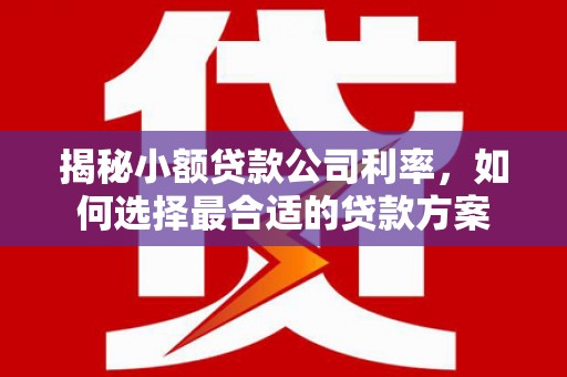 伽师揭秘小额贷款公司利率，如何选择最合适的贷款方案