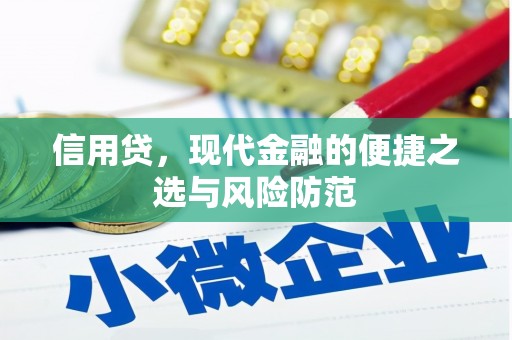 伽师信用贷，现代金融的便捷之选与风险防范