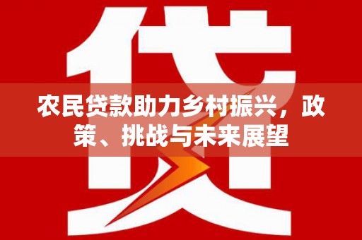 伽师农民贷款助力乡村振兴，政策、挑战与未来展望