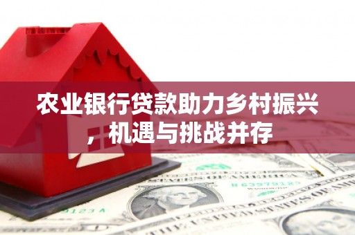 伽师农业银行贷款助力乡村振兴，机遇与挑战并存