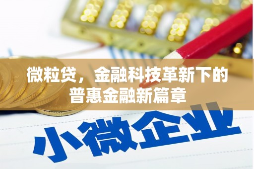 伽师微粒贷，金融科技革新下的普惠金融新篇章