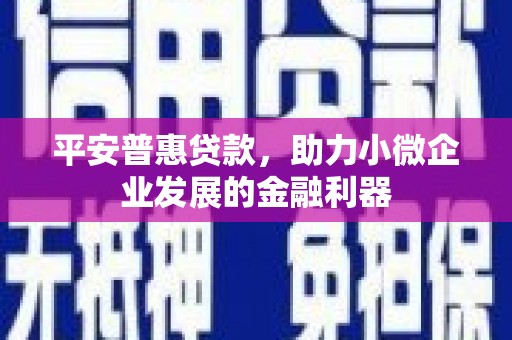 伽师平安普惠贷款，助力小微企业发展的金融利器