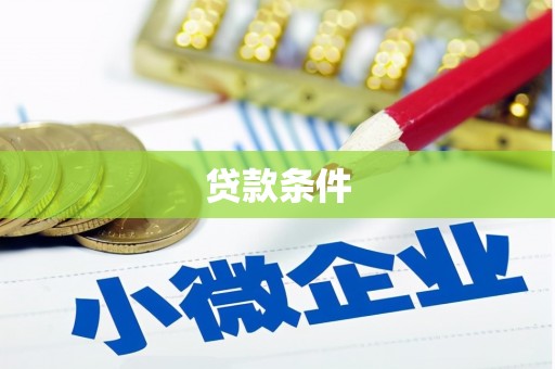 伽师贷款条件