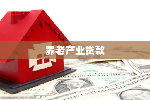 伽师养老产业贷款
