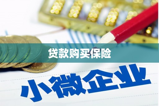 伽师贷款购买保险
