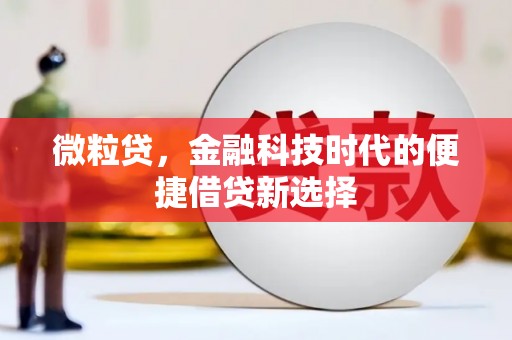 伽师微粒贷，金融科技时代的便捷借贷新选择
