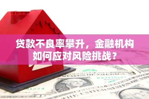 伽师贷款不良率攀升，金融机构如何应对风险挑战？