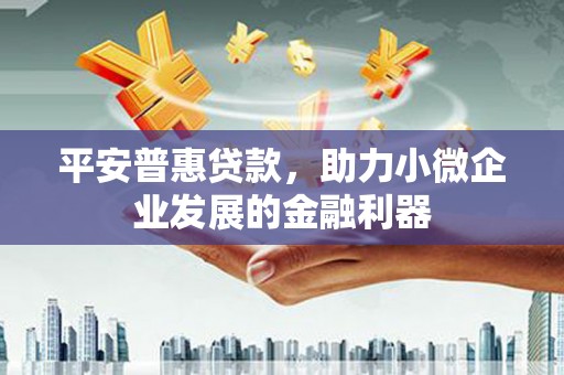 伽师平安普惠贷款，助力小微企业发展的金融利器