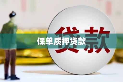 伽师保单质押贷款