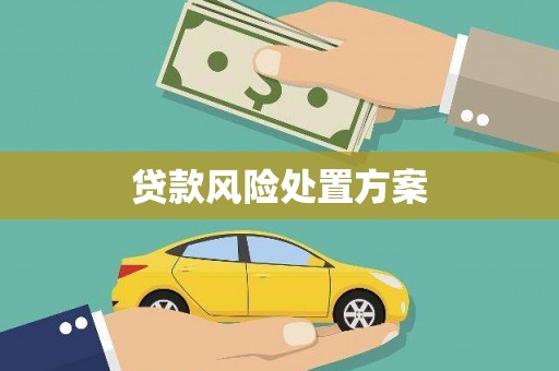 伽师贷款风险处置方案