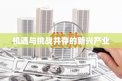 伽师机遇与挑战并存的新兴产业