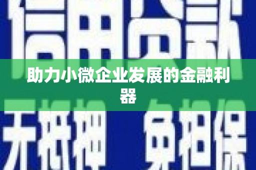 伽师助力小微企业发展的金融利器