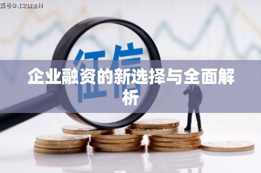 伽师企业融资的新选择与全面解析