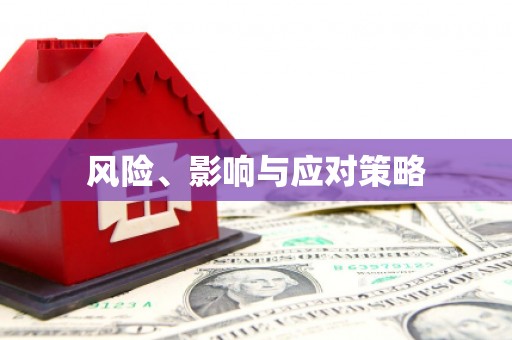 伽师风险、影响与应对策略