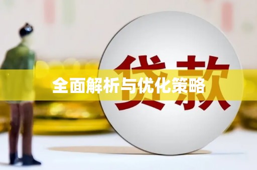 伽师全面解析与优化策略