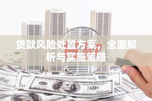 伽师贷款风险处置方案，全面解析与实施策略