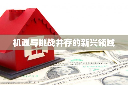 伽师机遇与挑战并存的新兴领域